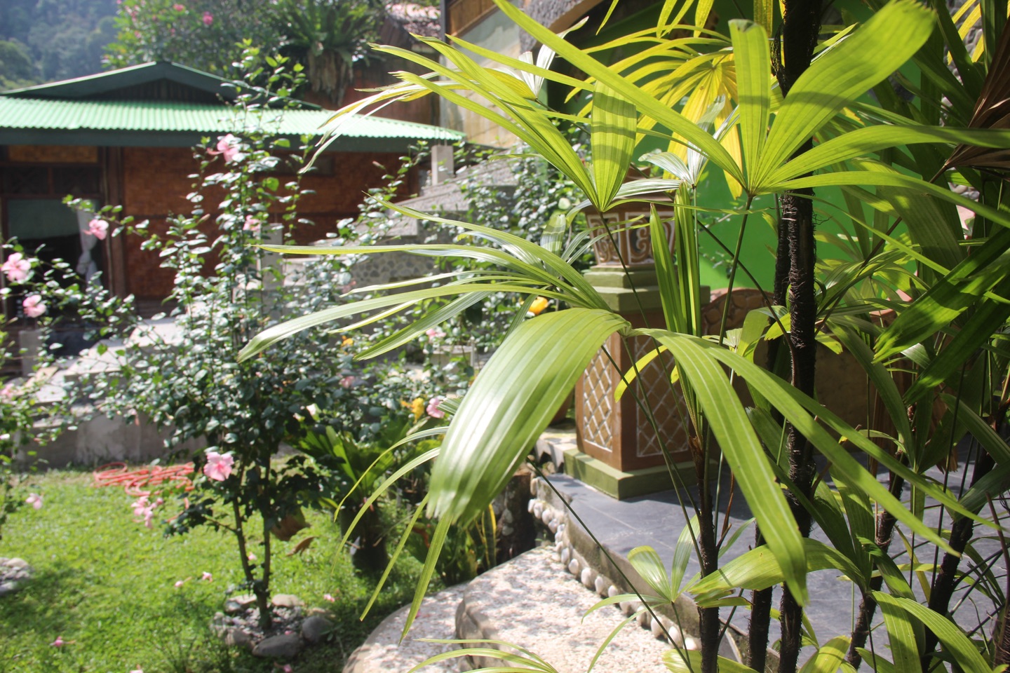 The Sam's Bungalows Bukit Lawang