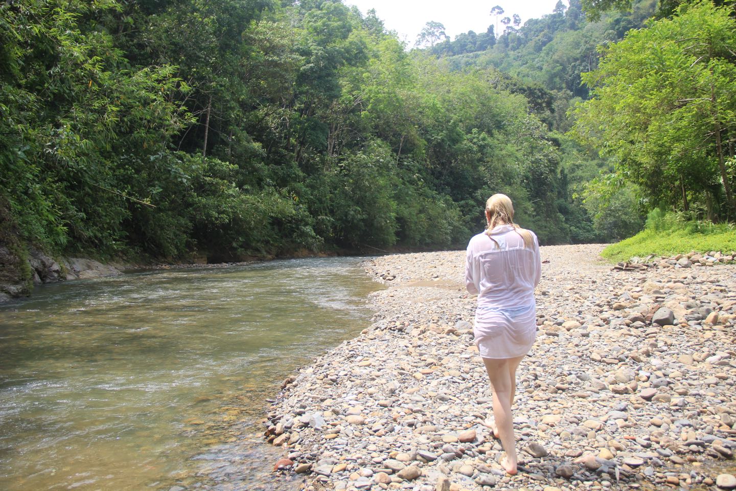 Bukit Lawang Jungle Trekking With The Sam's Bungalows